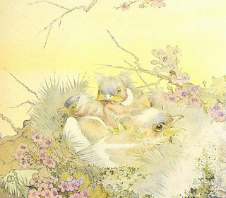 Edward Julius Detmold - The Chaffinch.webp
