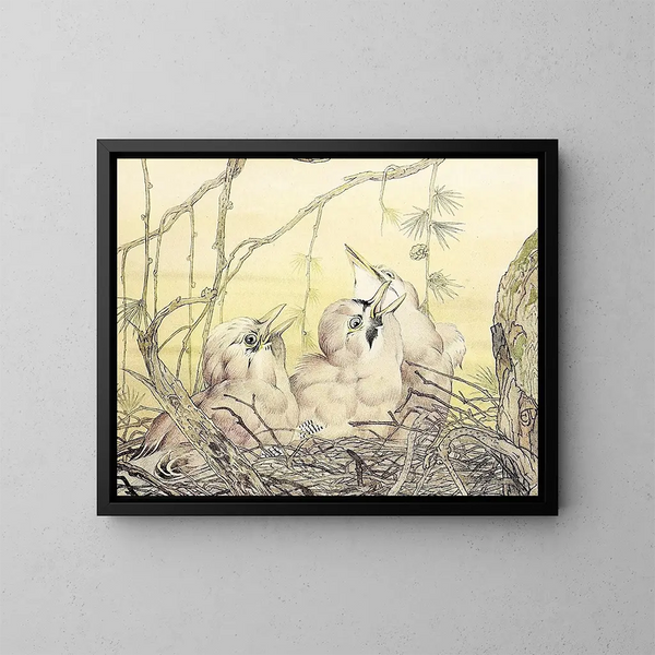 Der Eichelhäher - Edward Julius Detmold — gerahmtes Bild an der Wand