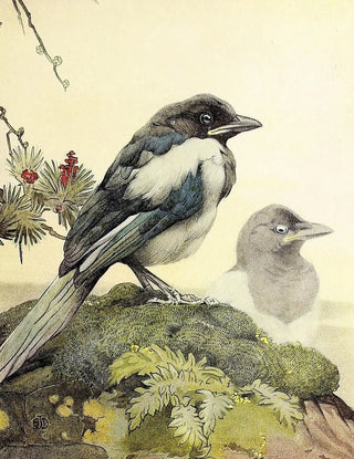 Edward Julius Detmold - The Magpie.webp