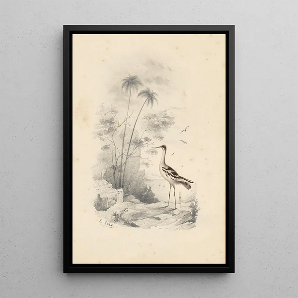 Reproduktion des Gemäldes Eine Flussuferläufer - Edward Lear