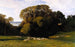 Nuneham - Edward Lear — Ansicht des Kunstwerks