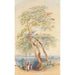 Studie eines Baumes Trichinopoly Indien - Edward Lear — Ansicht des Kunstwerks