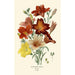 Salpiglossis Sinuata - Edward Step — Ansicht des Kunstwerks