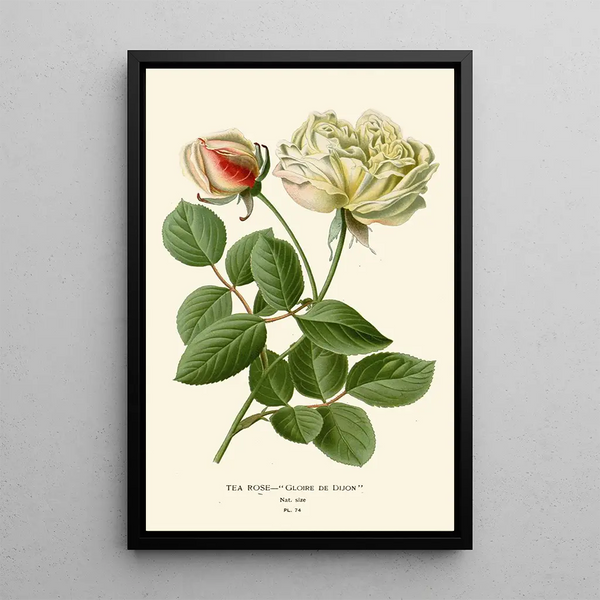 Reproduktion des Gemäldes Rose Thé - Edward Step