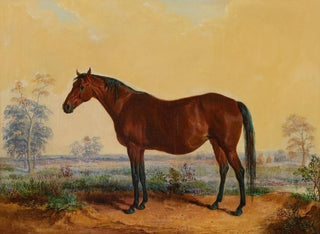 Dixie im Landschaftsbild - Edward Troye — Ansicht des Kunstwerks