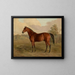 Pic du Kentucky - Edward Troye — gerahmtes Bild an der Wand