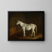 Bobine mit grauem Rennpferd - Edward Troye — gerahmtes Bild an der Wand