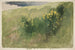 Landschaft mit Wildblumen - Edwin Austin Abbey — Ansicht des Kunstwerks
