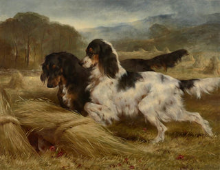 Edwin Douglas - The First of September  An English Tricolour and a Gordon Setter with Partridge.webp