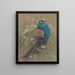 Ein Pfau und Gänseblümchen - Edwin John Alexander — gerahmtes Bild an der Wand