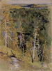 Landschaftsbild - Eero Järnefelt — Ansicht des Kunstwerks