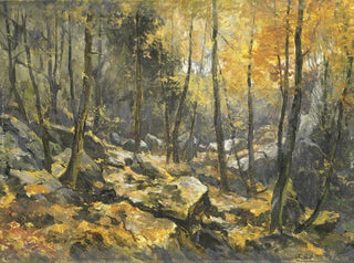 Meer der Felsen - Egbert Rubertus Derk Schaap — Ansicht des Kunstwerks