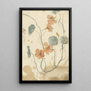 Elias van Nijmegen - Oostindische kers.webp