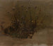 Wildblumen - Elihu Vedder — Ansicht des Kunstwerks