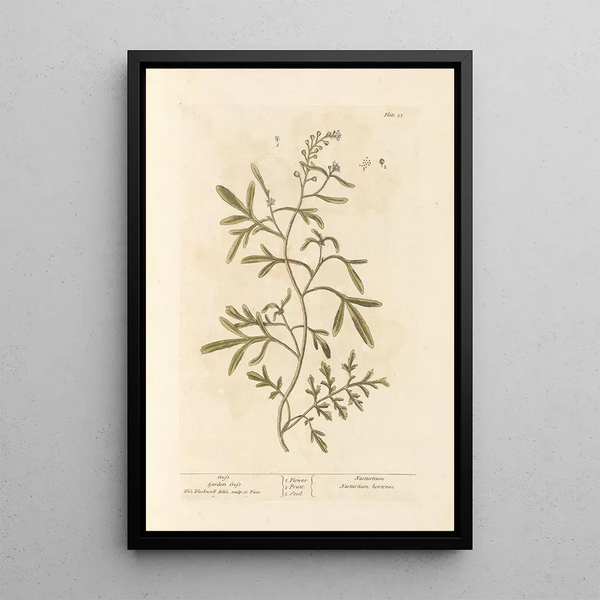 Cresson - Elizabeth Blackwell — gerahmtes Bild an der Wand