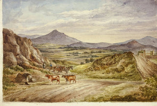 Elizabeth Murray - Wicklow Hills.webp