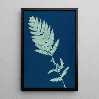 Ella J C Hurd - Ferns of Huntington Long Island Pl13.webp