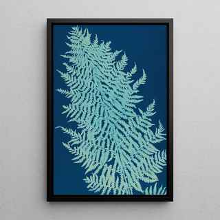 Ella J C Hurd - Ferns of Huntington Long Island Pl28.webp