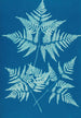 Fougères de Huntington Long Island Pl34 - Ella J C Hurd — Ansicht des Kunstwerks