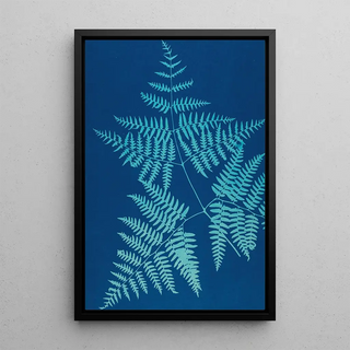 Ella J C Hurd - Ferns of Huntington Long Island Pl38.webp