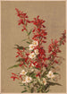 Fleur de cardinal - Ellen Fisher — Ansicht des Kunstwerks