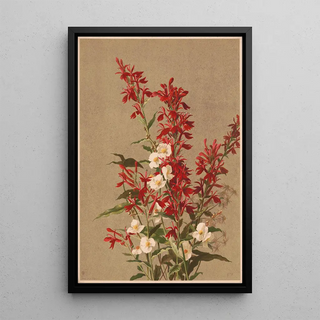 Ellen Fisher - Cardinal flower.webp