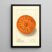 Aegle marmelos - Ellen Isham Schutt — gerahmtes Bild an der Wand