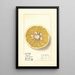 Citrus paradisi Royal - Ellen Isham Schutt — gerahmtes Bild an der Wand