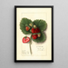 Fragaria Shipping King - Ellen Isham Schutt — gerahmtes Bild an der Wand