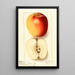 Malus domestica Winter Banana - Ellen Isham Schutt — gerahmtes Bild an der Wand