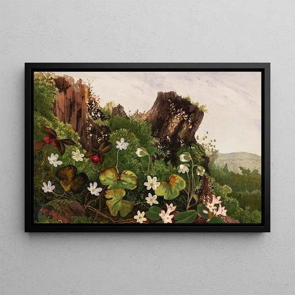 Ellen Robbins - Wild Flowers No 2.webp
