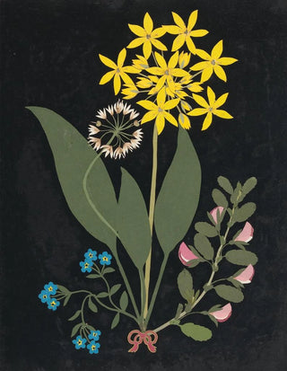 Ellen W - Album of cutpaper flowers Pl04.webp