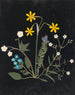 Blumenalbum aus Papier ausgeschnittenes Gemälde pl. 06 - Ellen W. — Ansicht des Kunstwerks