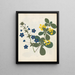 W Album de fleurs en papier découpé pl. 12 - Ellen W. — gerahmtes Bild an der Wand