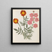 Album der Papierblumen ausgeschnitten pl. 17 - Ellen W. — gerahmtes Bild an der Wand