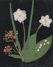 W Album de fleurs en papier découpé pl. 18 - Ellen W. — Ansicht des Kunstwerks
