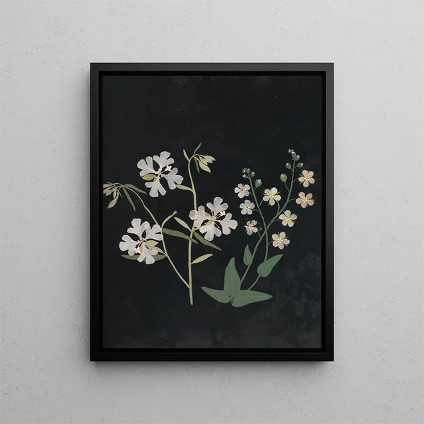 Ellen W - Album of cutpaper flowers Pl21.webp