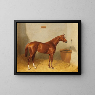 Emil Adam - Lord Bobs im Stall.webp