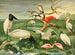 Störche mit Löffel-Schnabel - Emil August Göldi — Ansicht des Kunstwerks
