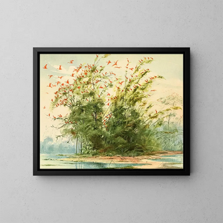 Emil August Gldi - Scena de um ninhal de Guars Ibis rubra na costa altantica da Ilha de Maraj.webp