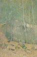In den Wäldern von Maine - Emil Carlsen — Ansicht des Kunstwerks