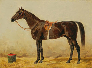 Emil Volkers - Black Horse In The Stable II.webp