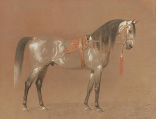 Emil Volkers - Osman Pasch.webp