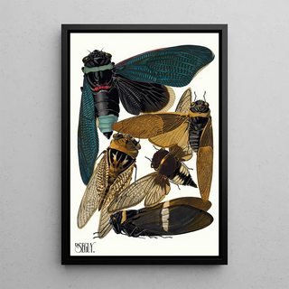 EmileAllain Sguy - Insectes Pl01.webp