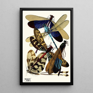 EmileAllain Sguy - Insectes Pl02.webp