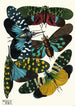 Insekten Pl08 - Émile-Allain Séguy — Ansicht des Kunstwerks