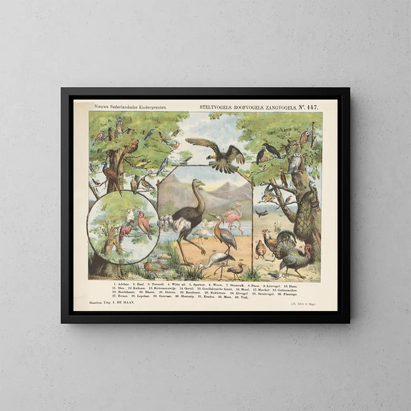 Raubvögel und Sänger - Emrik Binger — gerahmtes Bild an der Wand