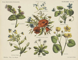 Emrik  Binger - Veldbloemen.webp