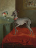 Ein italienischer Windhund auf einem roten Kissen - Englische Schule — Ansicht des Kunstwerks
