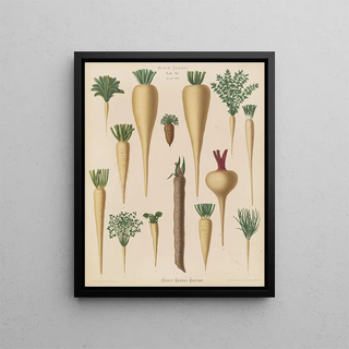 Ernst Benary - Culinary Roots.webp